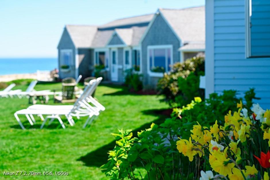 Nauset Beach Inn Орлеанс Экстерьер фото